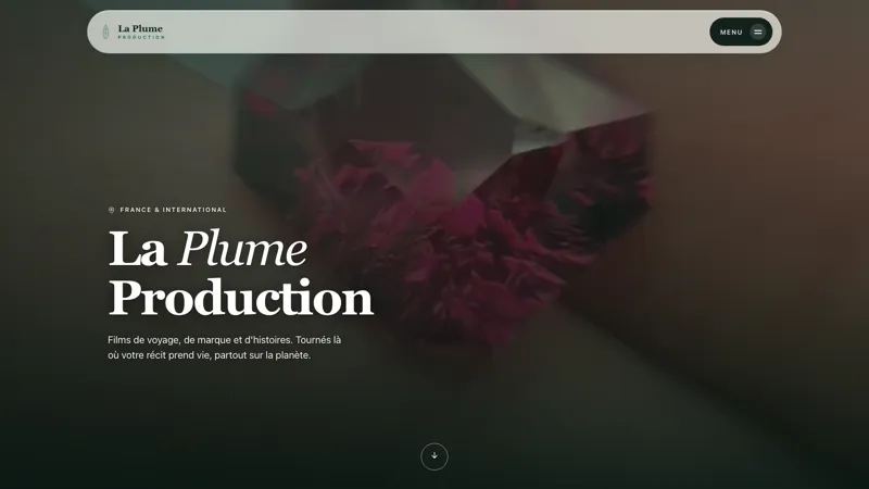 L'entrée : un film en plein écran, hébergé sur le site